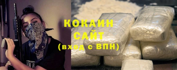 PSILOCYBIN Михайлов