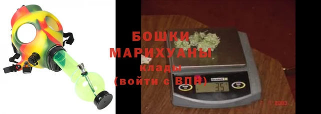 ПСИЛОЦИБИНОВЫЕ ГРИБЫ Михайловск