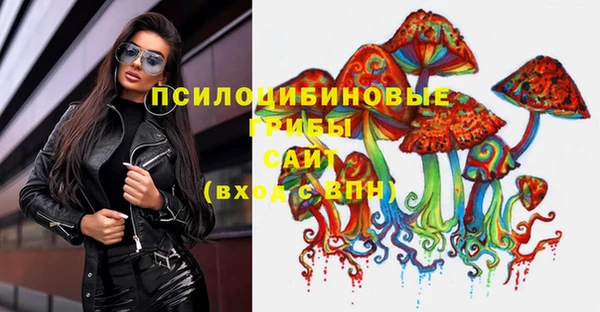 герыч Мегион