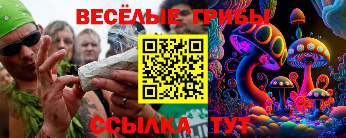 Псилоцибиновые грибы ЛСД  Вход с VPN  где можно купить   Гусь-Хрустальный 